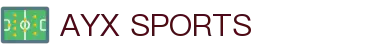 爱游戏(aiyouxi)中国官方网站|AYX SPORTS